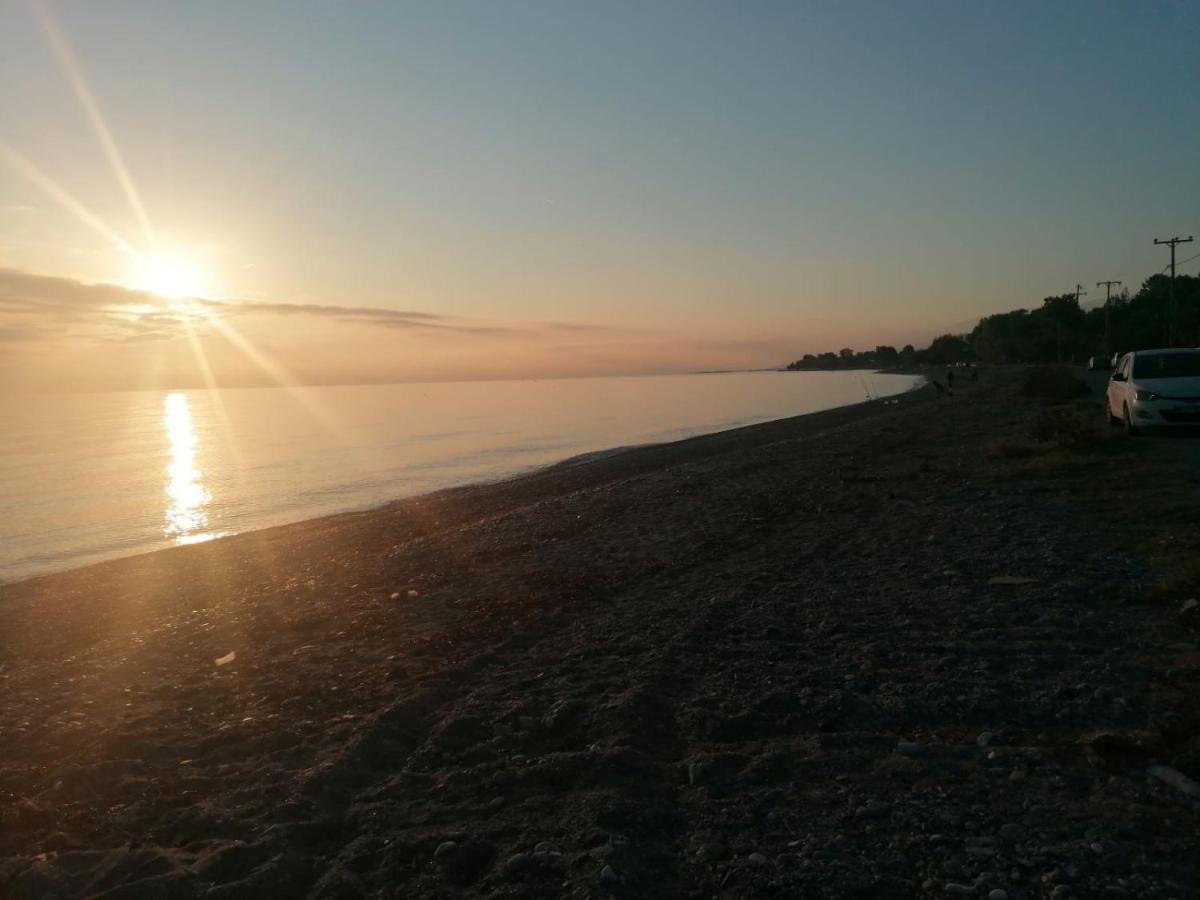 Ntinasvillage Leptokariá Kültér fotó
