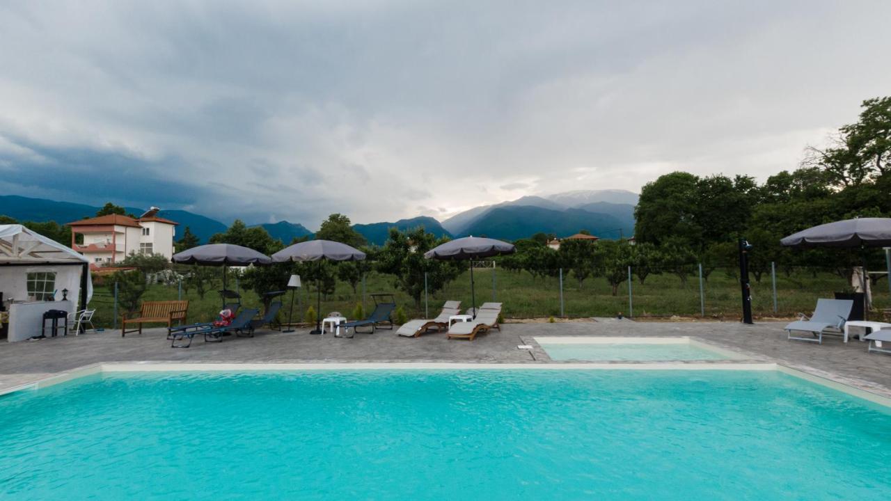Ntinasvillage Leptokariá Kültér fotó