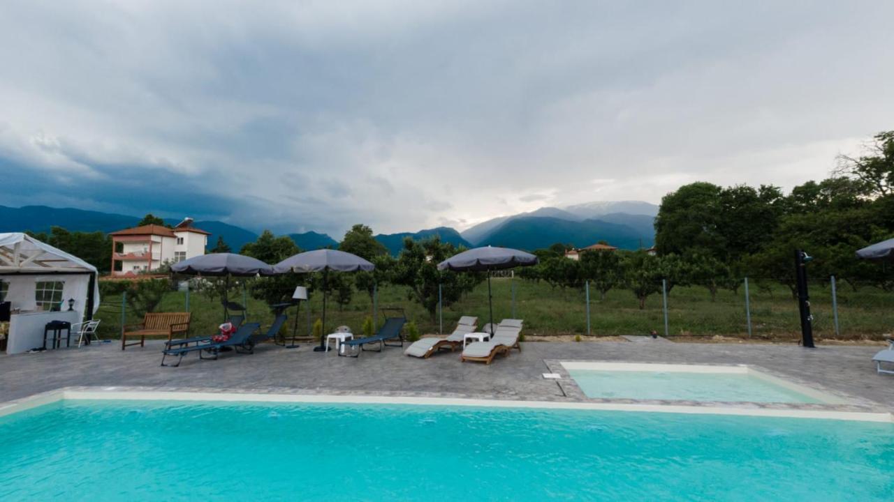 Ntinasvillage Leptokariá Kültér fotó
